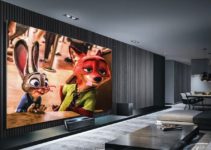 best projector screen for daylight viewing