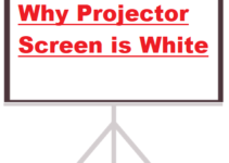 why projector screen is white