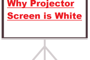 why projector screen is white